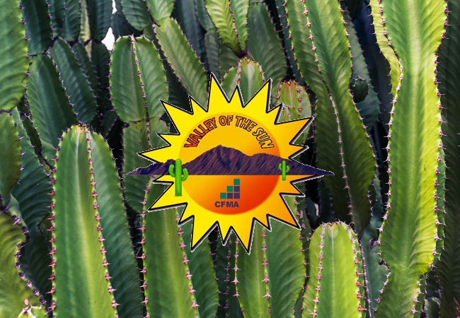 CFA Valley of the Sun